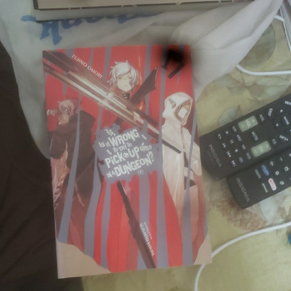 Is It Wrong to Try to Pick Up Girls in a Dungeon? Light Novel